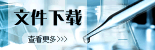 文件下载